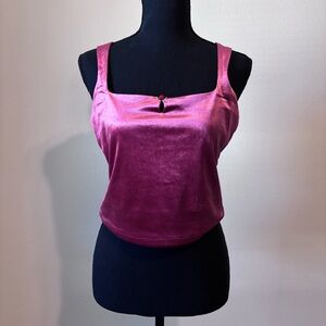 Wild Fable Pink Velvet Top